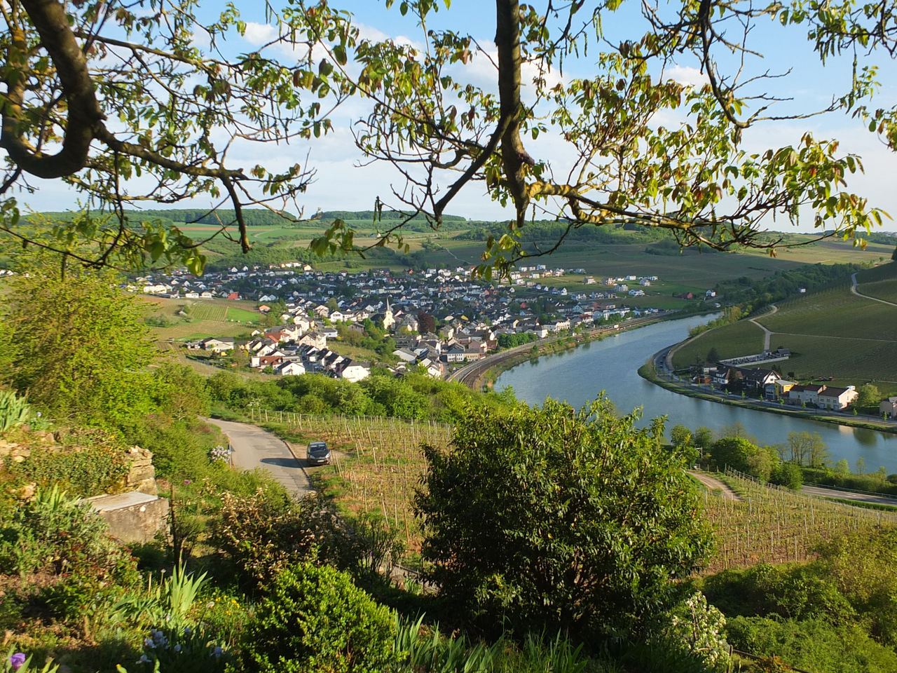 Der Weinort Nittel an der S�dlichen Wein&shy;mosel. Heimat des Elbling. Ihr n�chstes Urlaubsziel.