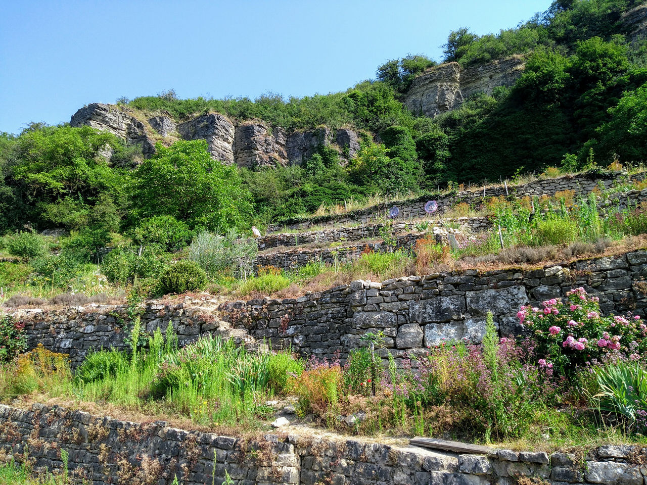 Von starken Felsen gesch�tzt. Perma&shy;kultur auf alten Weinbergs&shy;terrassen. Kommen Sie auf Entdeckungtour.